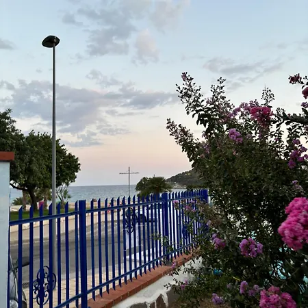 Fronte Mare * Àrbatax